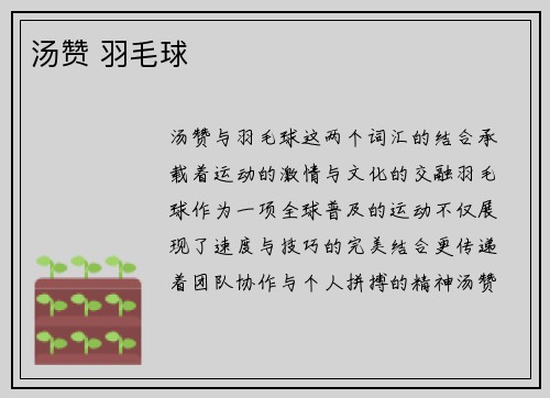 汤赞 羽毛球