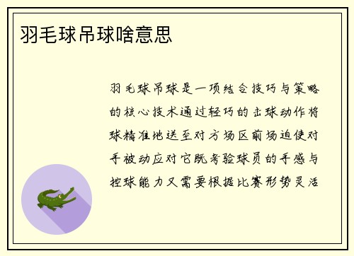 羽毛球吊球啥意思